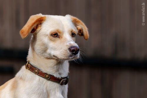 ArteFACT Grafik | Fotografie | Training
Simone V. Weis-Heigold
Fliederstraße 12
D-74653 Künzelsau-Gaisbach
Fon: (0 79 40) 5 34 68
Mail: simone@art-efact.de
Web: www.art-efact.de