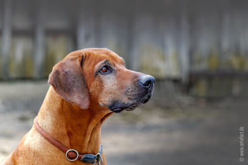 ArteFACT Grafik | Fotografie | Training
Simone V. Weis-Heigold
Fliederstraße 12
D-74653 Künzelsau-Gaisbach
Fon: (0 79 40) 5 34 68
Mail: simone@art-efact.de
Web: www.art-efact.de