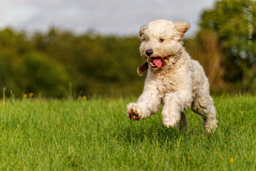 ArteFACT Grafik | Fotografie | Training
Simone V. Weis-Heigold
Fliederstraße 12
D-74653 Künzelsau-Gaisbach
Fon: (0 79 40) 5 34 68
Mail: simone@art-efact.de
Web: www.art-efact.de