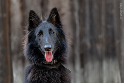 ArteFACT Grafik | Fotografie | Training
Simone V. Weis-Heigold
Fliederstraße 12
D-74653 Künzelsau-Gaisbach
Fon: (0 79 40) 5 34 68
Mail: simone@art-efact.de
Web: www.art-efact.de