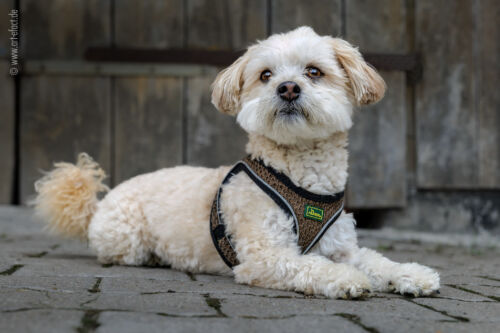 ArteFACT Grafik | Fotografie | Training
Simone V. Weis-Heigold
Fliederstraße 12
D-74653 Künzelsau-Gaisbach
Fon: (0 79 40) 5 34 68
Mail: simone@art-efact.de
Web: www.art-efact.de